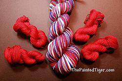 Red Journey Mini Skeins - Grand Old Flag Coordinate